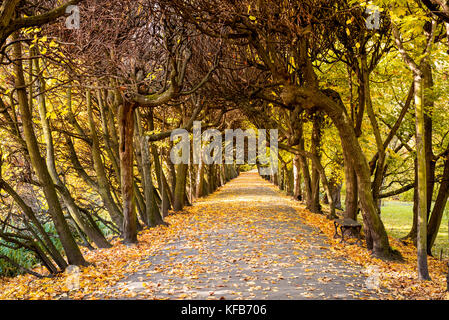 Autumn in the park in Gdansk Oliwa. The Oliwski Park is very popular toursit destination. Poland. Stock Photo