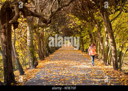 Autumn in the park in Gdansk Oliwa. The Oliwski Park is very popular toursit destination. Poland. Stock Photo