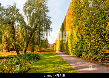 Autumn in the Oliwski park. Park is favorite tourist destination in Gdansk. Poland Stock Photo