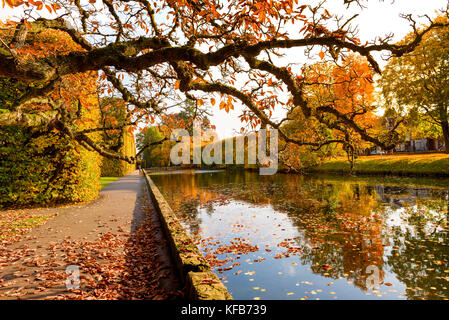 Pond in the Oliwski Park in sunny autumn day. Stock Photo