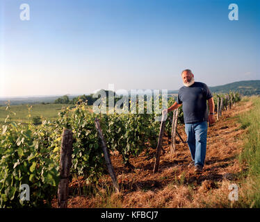 FRANCE, Montigny-les-Arsures, Arbois, Jacques Puffeney stands in his vines, Jacques Puffeney Winery, Jura Wine Region, Vin Jaune Stock Photo