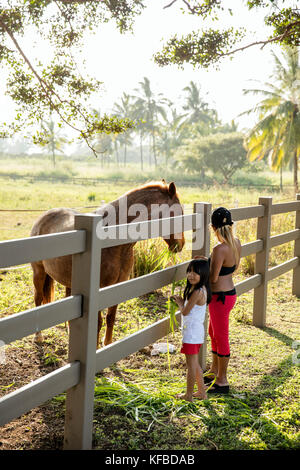 HAWAII, Oahu, North Shore, woman and her daughter petting a horse at Dillingham Ranch in Waialua
