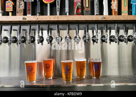 USA, Oregon, Bend, Pacific Pizza and Brew, pint glasses of brew beer Stock Photo