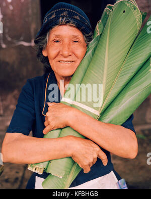 PERU, Belen, South America, Latin America, senior woman holding banana leaves that she is selling at the Belen Market. Stock Photo