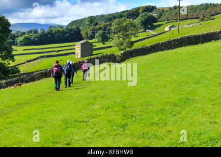 Group of walkers and a dog walking away from the camera through bright green fields on the Alfred Wainwright Coast to Coast trail in North Yorkshire England Stock Photo