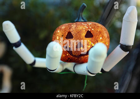 Napa, CA, USA. 26th Oct, 2017. Jack Skellington from the movie ''The Nightmare Before Christmas'' holds a jack o' lantern in the Halloween display at Jacquelyn and Bill Chambers' home. Credit: Napa Valley Register/ZUMA Wire/Alamy Live News