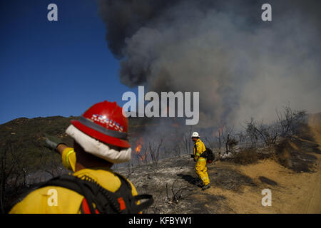 Wildomar, CA, USA. 26th Oct, 2017. Firefighters battle the Wildomar wildfire in the Cleveland National Forest on Thursday, October 26, 2017 in Wildomar, Calif. The fire started after a motorcycle crashed into a tree. © 2017 Patrick T Fallon Credit: Patrick Fallon/ZUMA Wire/Alamy Live News Stock Photo