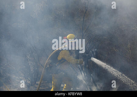 Wildomar, CA, USA. 26th Oct, 2017. Firefighters battle the Wildomar wildfire in the Cleveland National Forest on Thursday, October 26, 2017 in Wildomar, Calif. The fire started after a motorcycle crashed into a tree. © 2017 Patrick T Fallon Credit: Patrick Fallon/ZUMA Wire/Alamy Live News Stock Photo