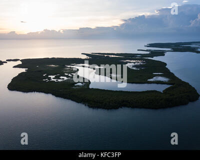 An aerial view of mangroves and the calm lagoon inside Turneffe Atoll off the coast of Belize. This area of the Caribbean is extremely biodiverse. Stock Photo