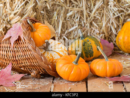 Colorful pumpkins and gourds in a basket with a straw bale background Stock Photo