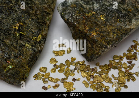 High-Grade Gold Ore and California Placer Gold Nuggets - USA Stock Photo