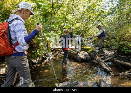 USA, Alaska, Redoubt Bay, Big River Lake, hiking on the bear trails to a near by lake Stock Photo