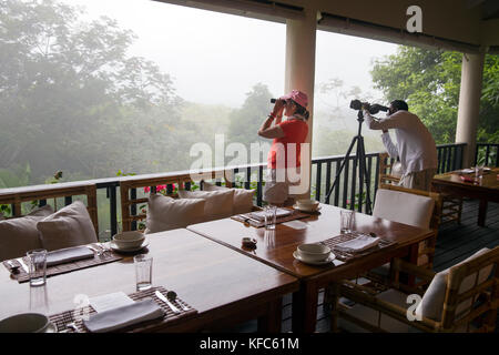 BELIZE, Punta Gorda, Toledo, guests are surrounded by beautiful views and wildlife at Belcampo Belize Lodge and Jungle Farm Stock Photo