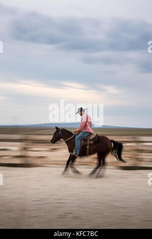 USA, Nevada, Wells, cowboy and wrangler Clay Nannini rides around the expansive 900 square mile property in NE Nevada, Mustang Monument, A sustainable Stock Photo