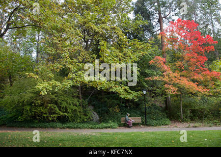 USA, Oregon, Ashland, a young woman sits on a park bench at Lithia Park in the Fall Stock Photo