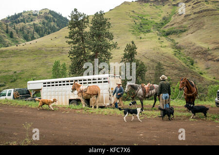 USA, Oregon, Joseph, Cowboys Todd Nash and Cody Ross prepare for a cattle drive up Big Sheep Creek Stock Photo