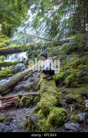 USA, Oregon, Oregon Cascades, a young boy hikes and checks out the upper Proxy Falls in the Wilamette National Forest in the early Fall, McKenzie Pass