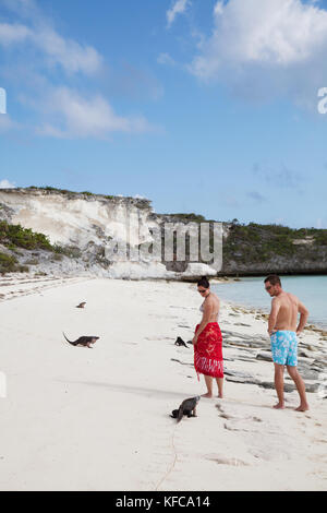 EXUMA, Bahamas. Iguanas on Guana Cay. Stock Photo