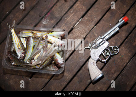 FRENCH POLYNESIA, Moorea. Still life of fish and toy gun. Stock Photo