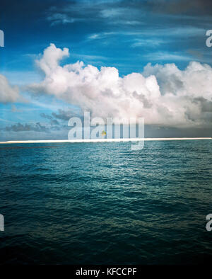 FIJI, Northern Lau Islands, a single palm tree stands on a small sand island in the middle of the South Pacific Ocean Stock Photo