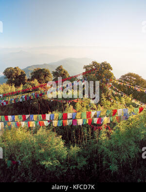 INDIA, West Bengal, colorful prayer flags hanging over trees, Tiger Hill Stock Photo
