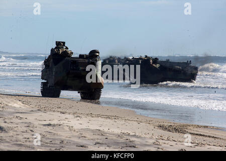 AAV-P7/A1 assault amphibious vehicles Stock Photo