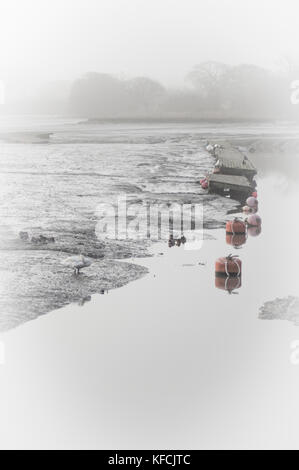 Muted colours, creek side scene at low tide - photo Stock Photo