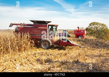A 6 row Case IH combine comes out of the edge of a corn field and a Case IH tractor and a grain cart wait in the distance on a sunny day. Stock Photo