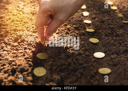 Seedling and saving concept by human hand, Human seeding coins in soil for growing money. Stock Photo