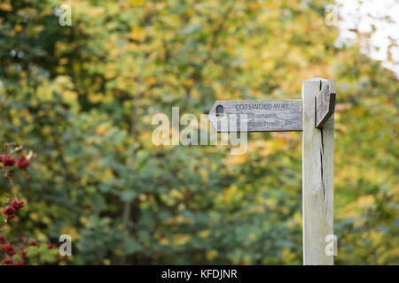 Cotswold Way signpost in front of trees in autumn. Chipping Campden, Gloucestershire, Cotswolds, England Stock Photo