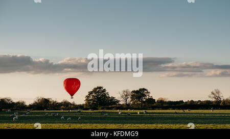 Virgin Hot air balloon over a field of sheep in the Chilterns Countryside, Wendover, Buckinghamshire Stock Photo