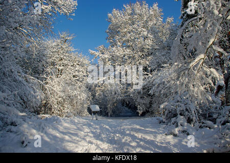 Southborough Common in Snow Stock Photo