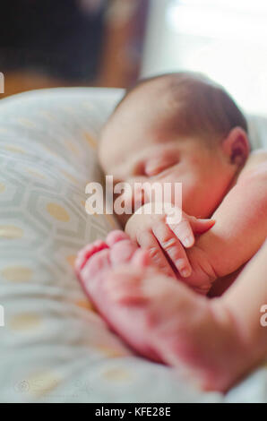 Newborn human baby asleep on a pillow Stock Photo