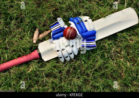Cricket gloves and bat on green grass