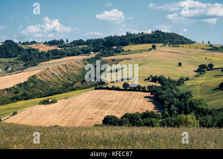 Rural landscape at summer along the road from Fossombrone to Jesi (Marches, Italy), near Sorbolongo Stock Photo