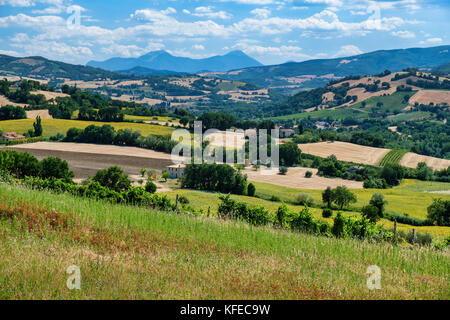 Rural landscape at summer along the road from Fossombrone to Jesi (Marches, Italy), near Sant'Ippolito. Stock Photo