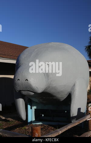 The famous large Manatee statue at the entrance to the Homosassa