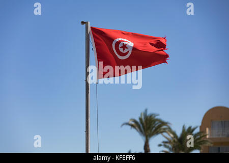 Tunisian flag waving in the blue sky in the beach. Stock Photo
