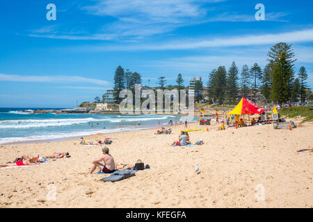 Dee Why beach on Sydney northern beaches and lifeguards surf rescue flags and equipment,Sydney,Australia Stock Photo