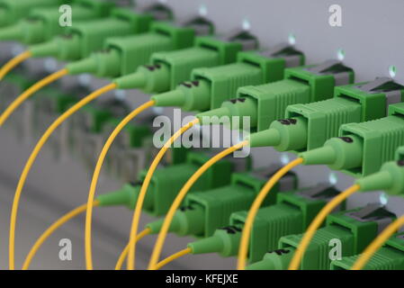 Optical distribution panels with fiber cables at passive optical network Stock Photo