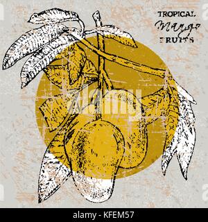 Hand drawn mango fruits card with leafs and mango slices and cubes. Sketch style vector fruit frame. Organic food illustration. Stock Vector
