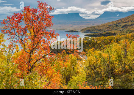 View over Abisko with Lapporten from Björkliden, at autumn season with yellow and red and orange trees and clouds hanging oveer the mountains, Abisko, Stock Photo