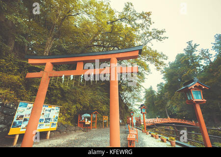 red Torii gate with red wooden Shinkyo bridge and green forest after the rain, the famous landmark of Nikko National Park, Tochigi, Japan. vintage pho Stock Photo