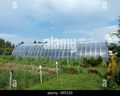 Homemade big arched plastic greenhouse, in garden Stock Photo