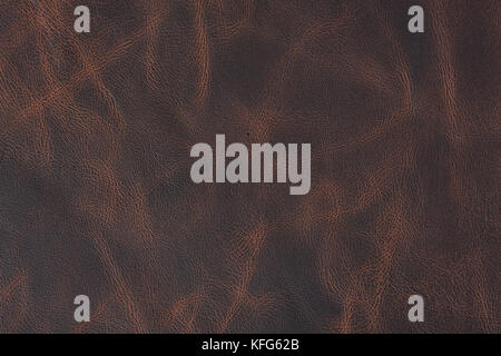 Brown vintage leather texture on macro. Stock Photo
