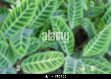 Artistic style - Defocused urban abstract texture background for your design Stock Photo