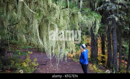 The Great Pacific Northwest Stock Photo