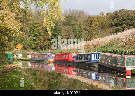 Autumn on the Staffs and Worcester Canal, near Stewponey, Staffordshire, England, UK Stock Photo