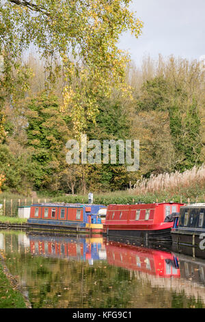 Autumn on the Staffs and Worcester Canal, near Stewponey, Staffordshire, England, UK Stock Photo