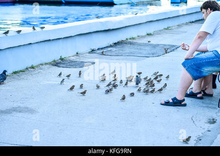 Russia, Saratov - 09.08.2017: Unknown man sits on a bench and feeds pigeons on the Volga River embankment in Saratov 08.09.2017, in Russia. Stock Photo